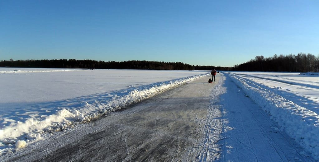 Nordic Skating Adventure