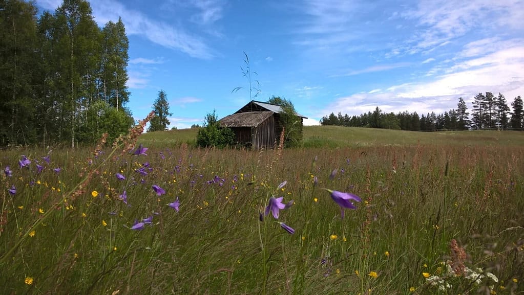 Go Explore Nature @Näsets Marcusgård