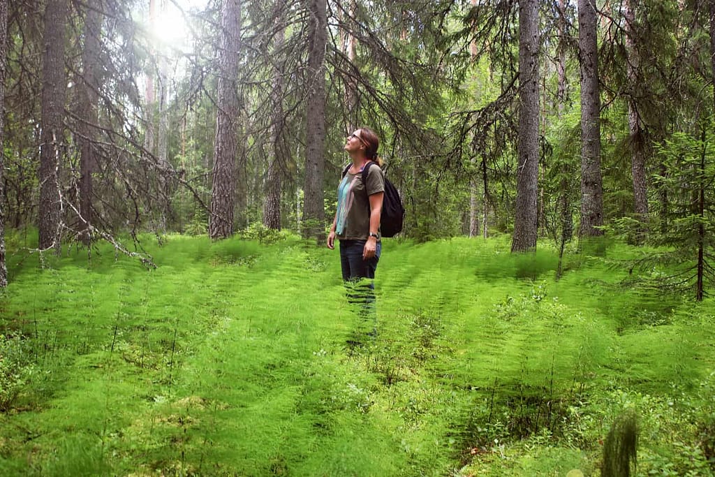 Into the green @Näsets Marcusgård