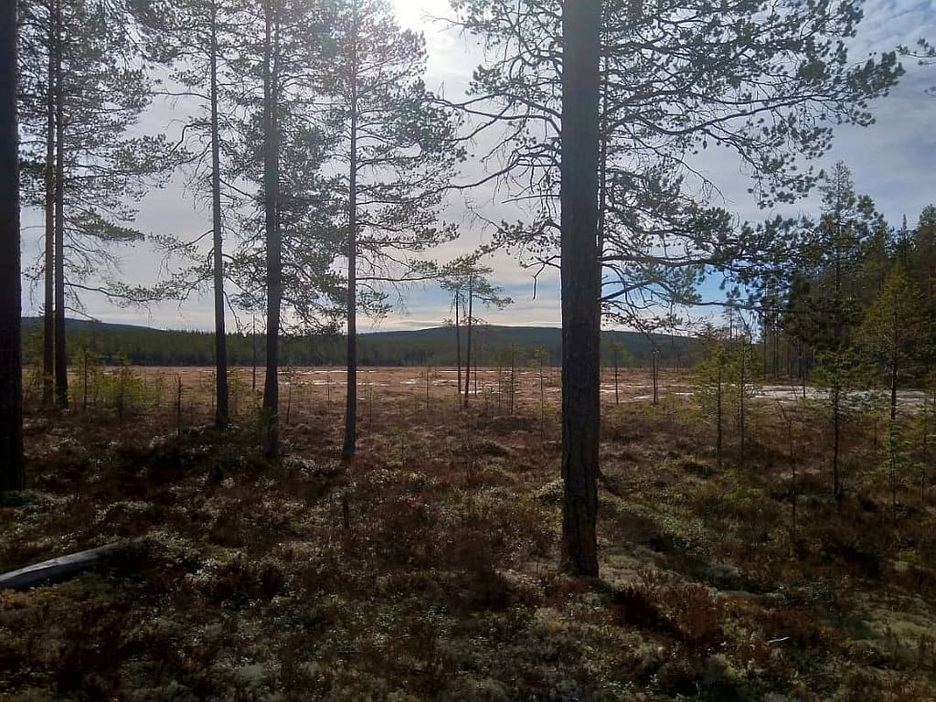 ejheden hike 2