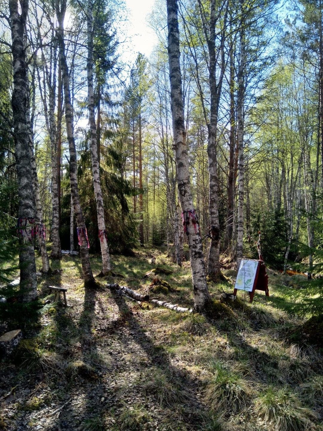 Näsets Marcusgård - Nordic Druid Path - Magic