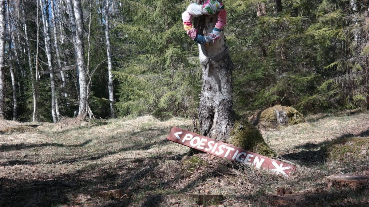 En träskylt med texten 'Poesistigen' lutad mot en björk vid starten av Nordiska Druidstigen bakom Näsets Marcusgård i Furudal, Dalarna