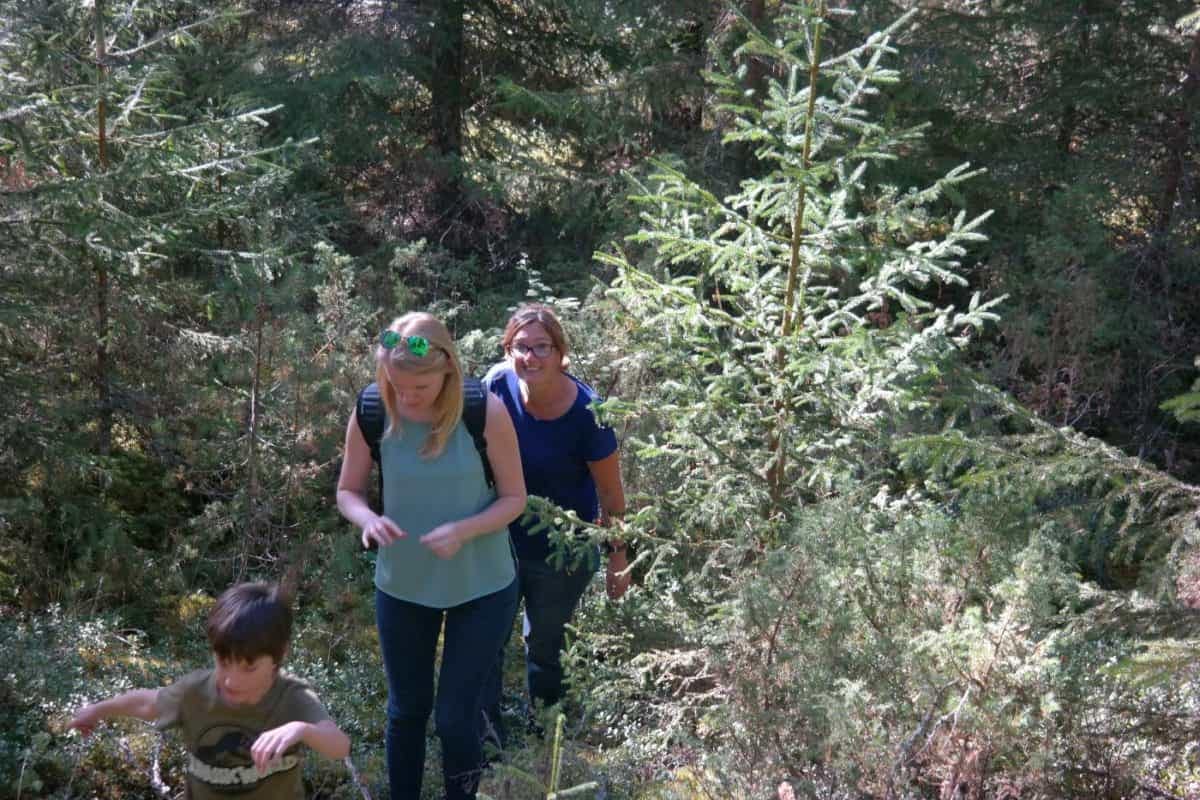 let's go for a hike