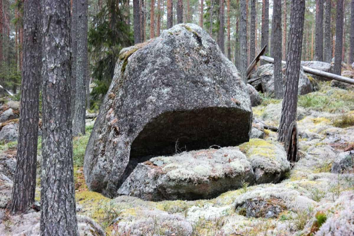 sharkstone