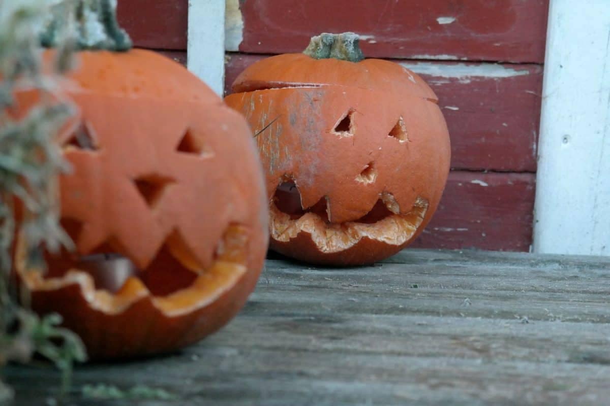 halloween @Nasets Marcusgård