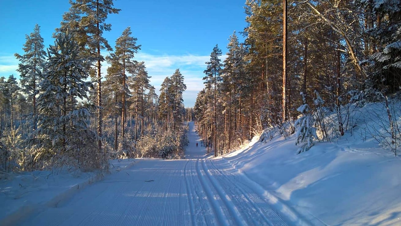Langlauf Furudal