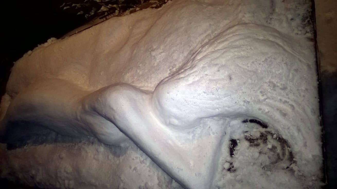 snowsculpture