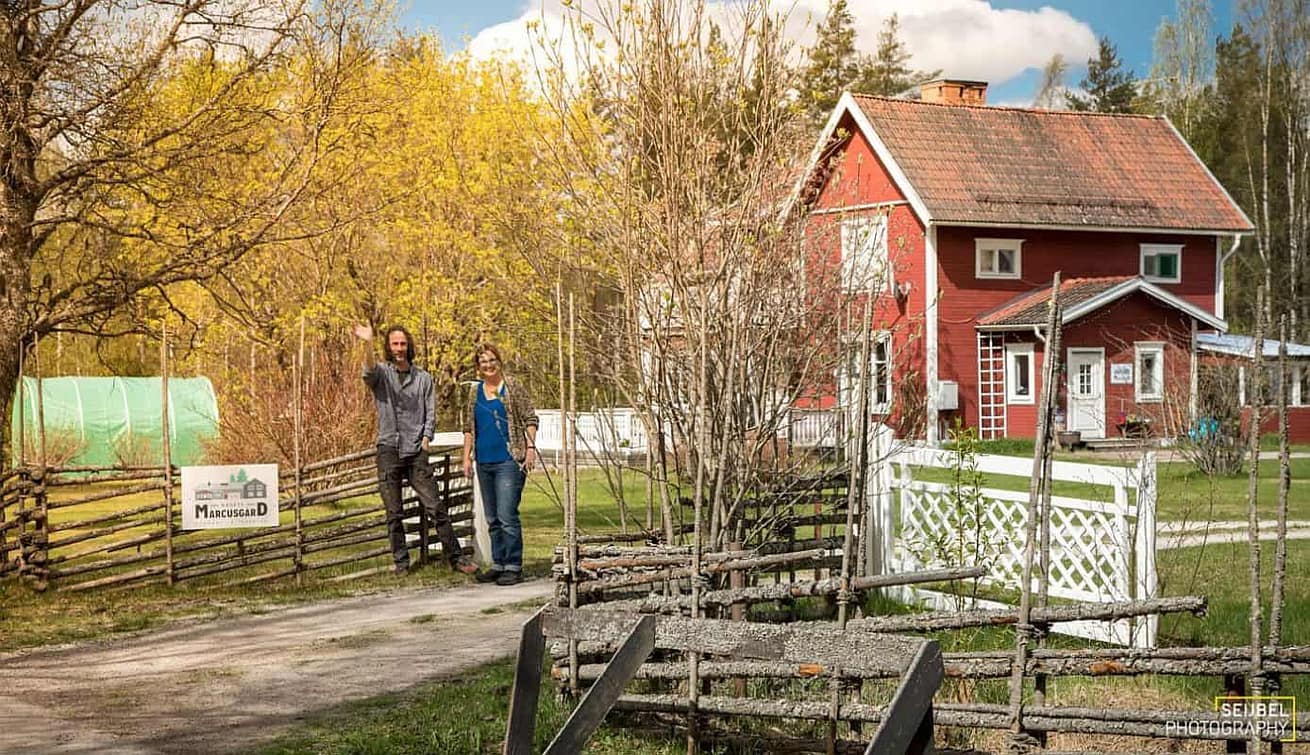 Adjö, vi ses!