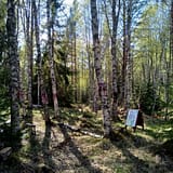 Näsets Marcusgård - Nordic Druid Path - Magic