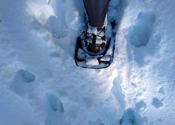 snowshoe hike middle of nowhere