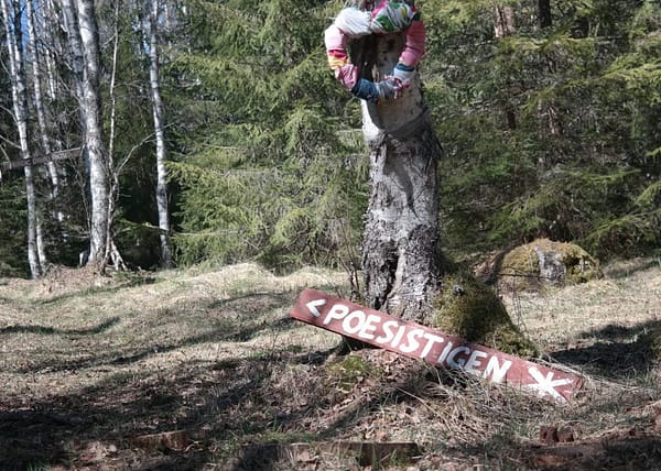 En träskylt med texten 'Poesistigen' lutad mot en björk vid starten av Nordiska Druidstigen bakom Näsets Marcusgård i Furudal, Dalarna