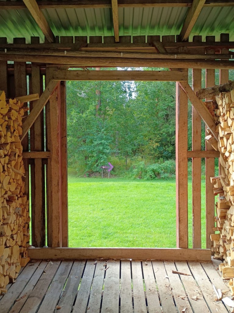 forest screen näsets marcusgård enjoy the view web