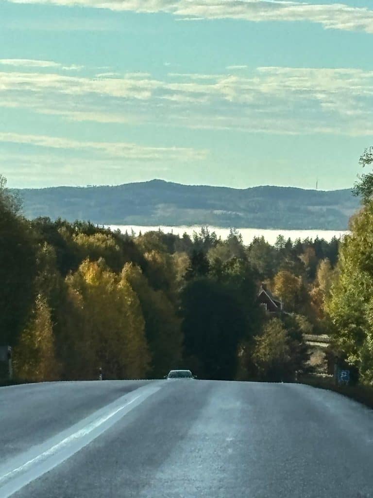 Road leading through autumn trees towards distant misty mountains.