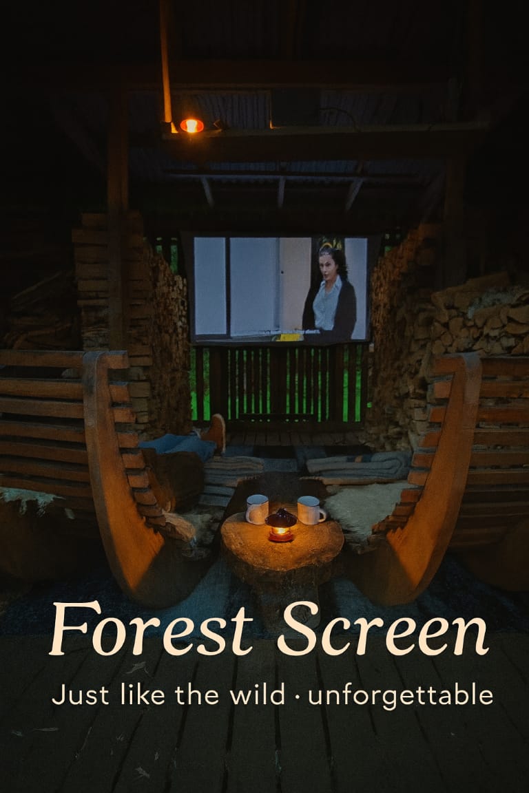 Forest Screen – outdoor cinema in the Swedish woods