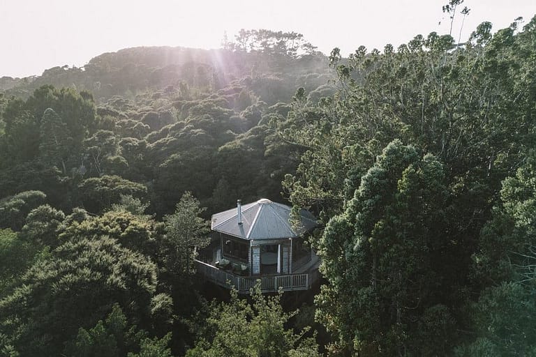 Away Waiheke Treehouse