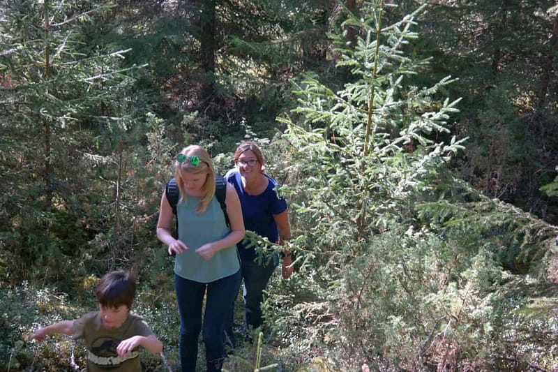 let's go for a hike