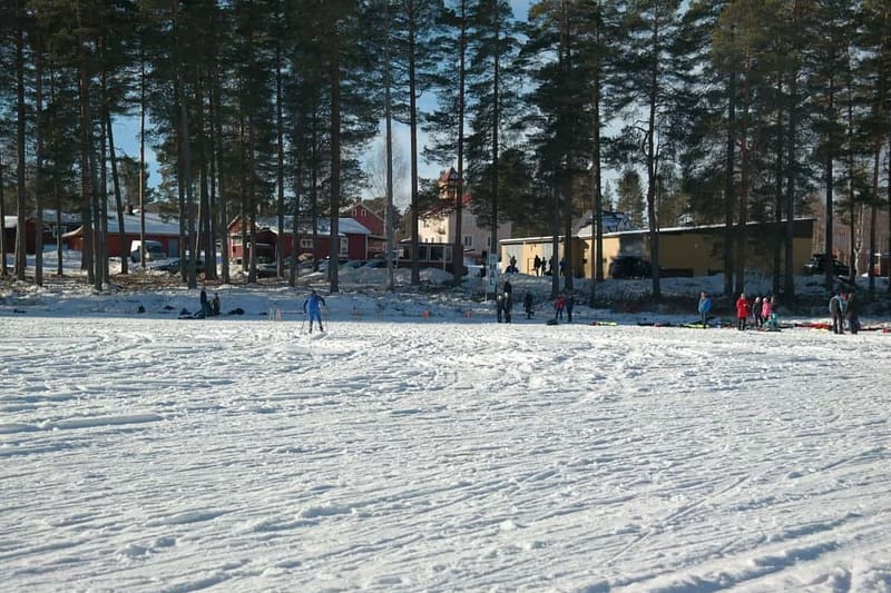 SM i Skidorientering