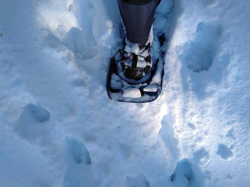snowshoe hike middle of nowhere