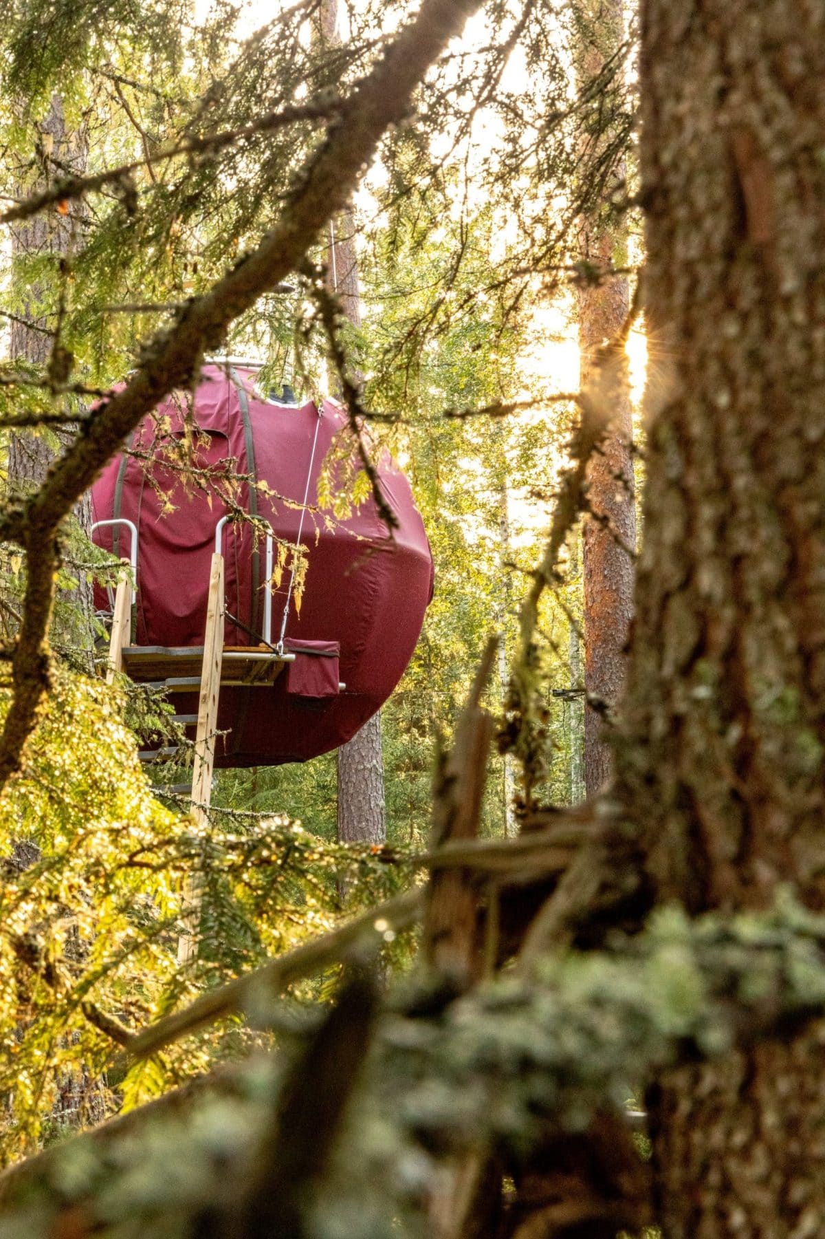 Näsets Marcusgård Supermåne goodmorning