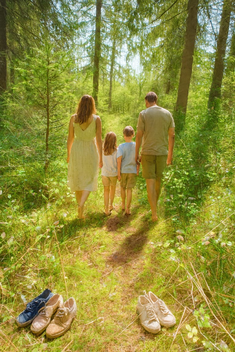 Feel the Forest - Aarding