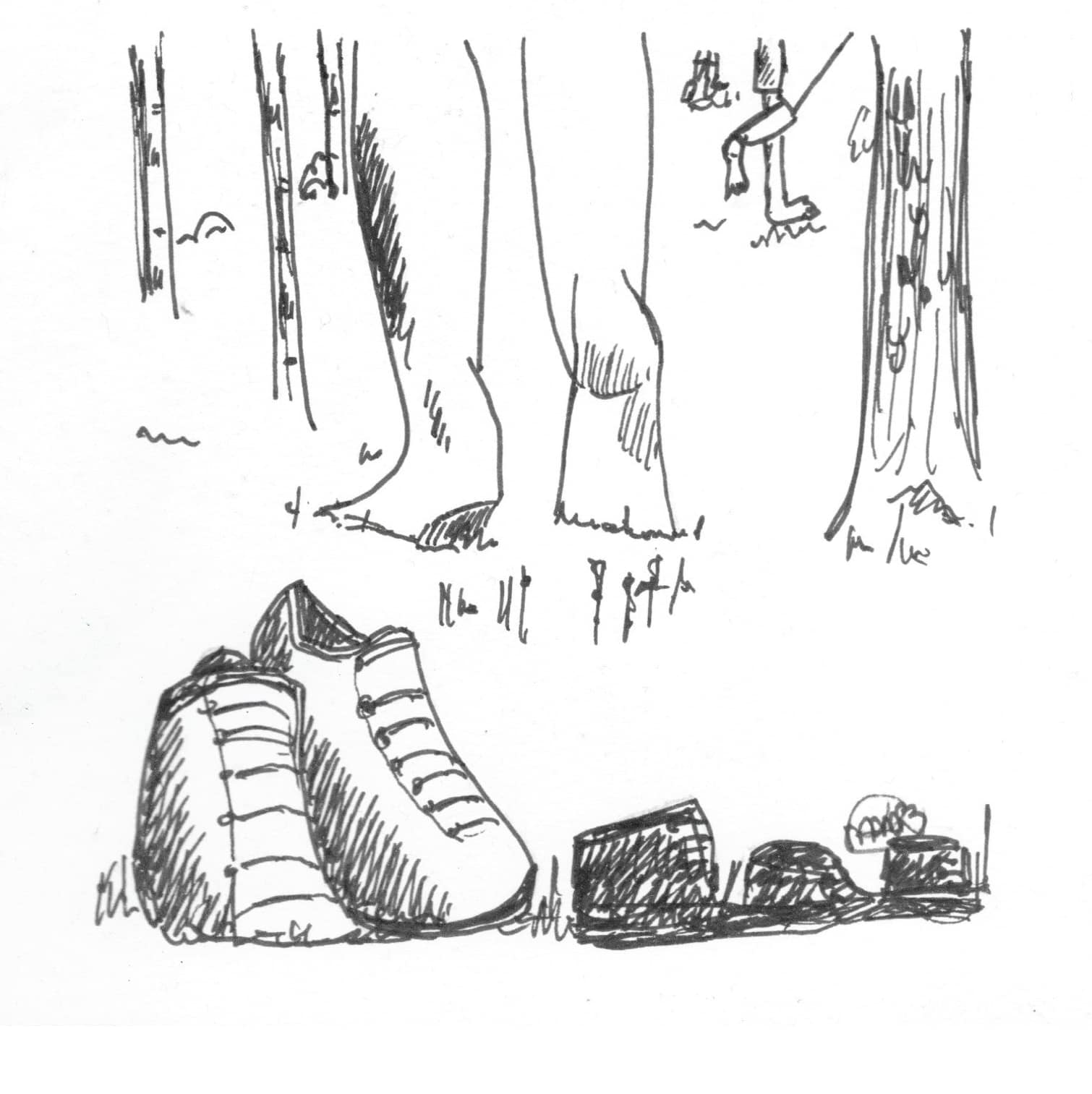 Feel the Forest - Aarding