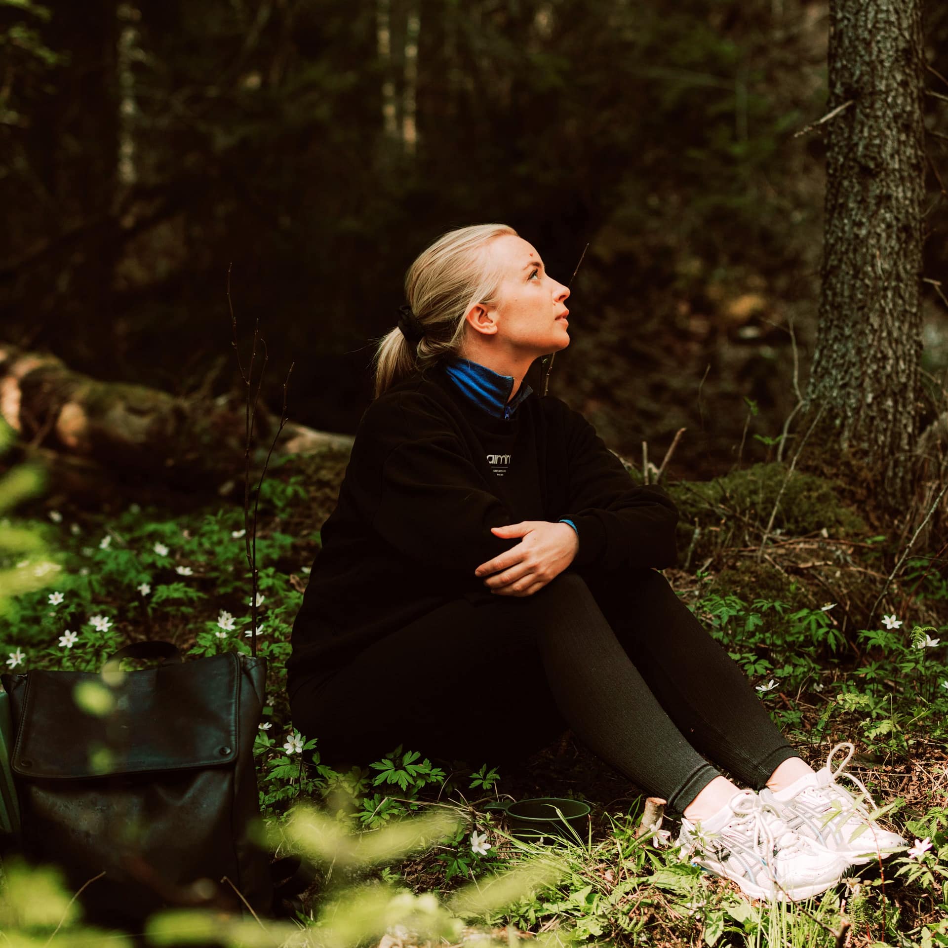 The Forest Reset